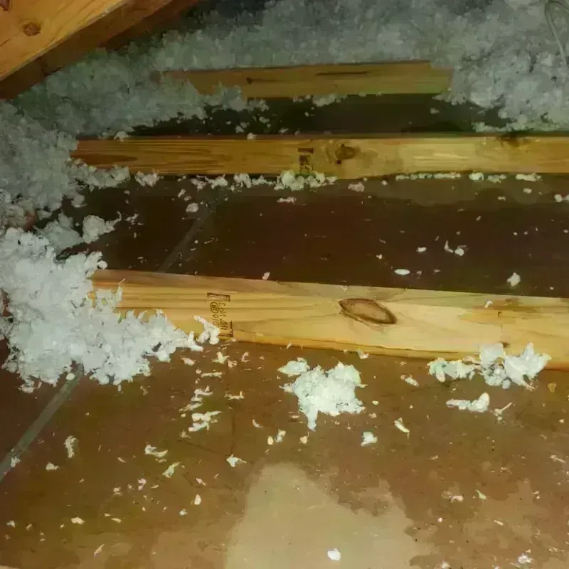 Attic Water Damage in Richmond, ME